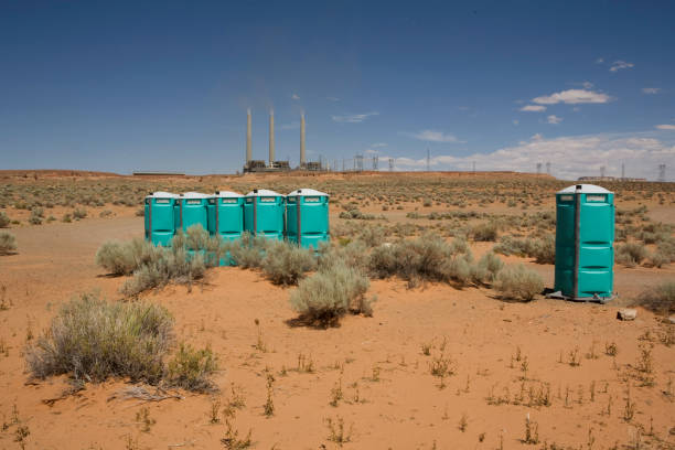 Best Utility Line Clearance  in Ponderosa Park, CO